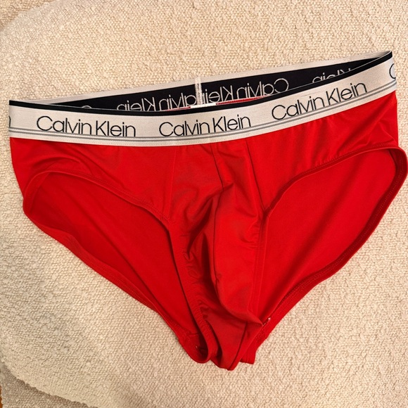 NWT Men’s Calvin Klein microfiber briefs, size medium - Picture 3 of 3